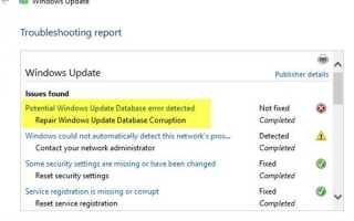 Wykryto potencjalny błąd bazy danych Windows Update w systemie Windows 10