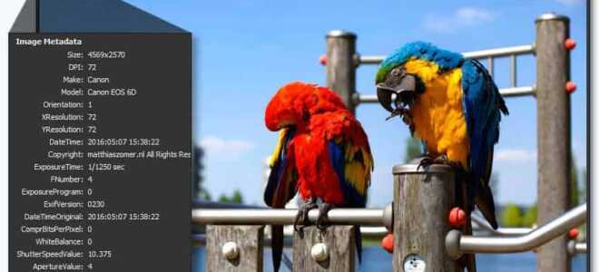 Jak otwierać pliki PNG na komputerach z systemem Windows 10