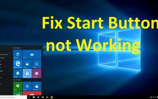 Top 7 przetestowanych metod naprawy przycisku Start systemu Windows 8.1 i 10 nie działa