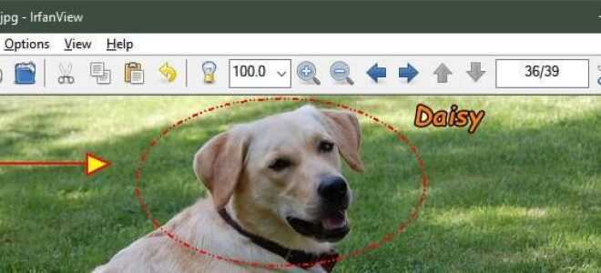Jak otwierać pliki .tif w systemie Windows 10 bez utraty jakości