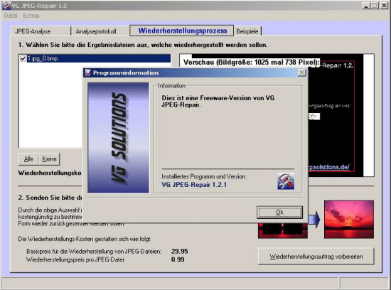 Oprogramowanie VG JPEG-Repair naprawia uszkodzony plik jpg