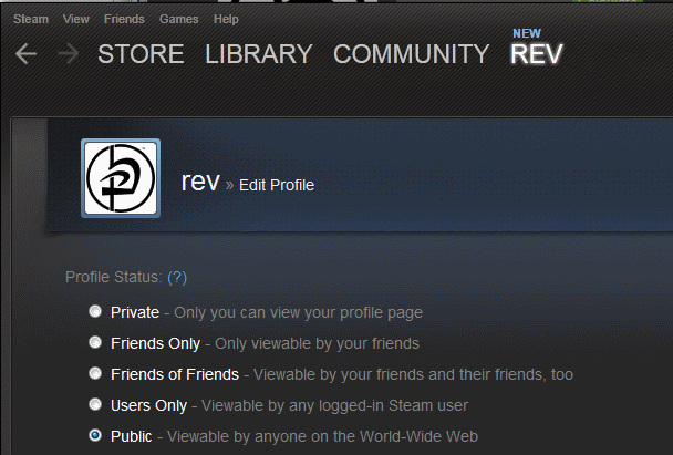 publiczny profil Steam