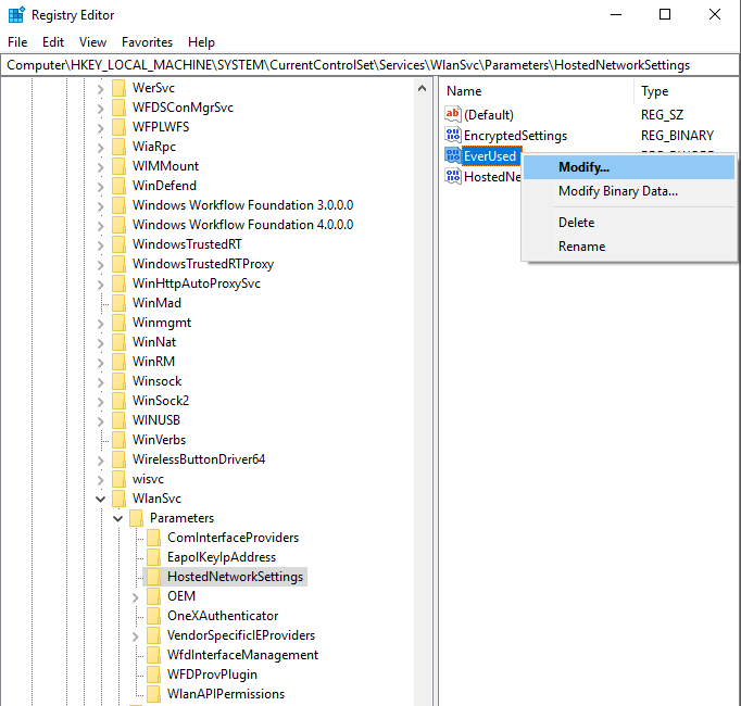 HostedNetworkSettings in Registry Editor - pobierz sterownik wirtualnej karty sieciowej Microsoft Hosted