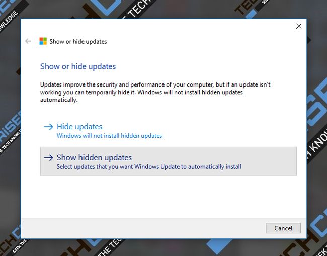 pokaż ukryte aktualizacje systemu Windows 10